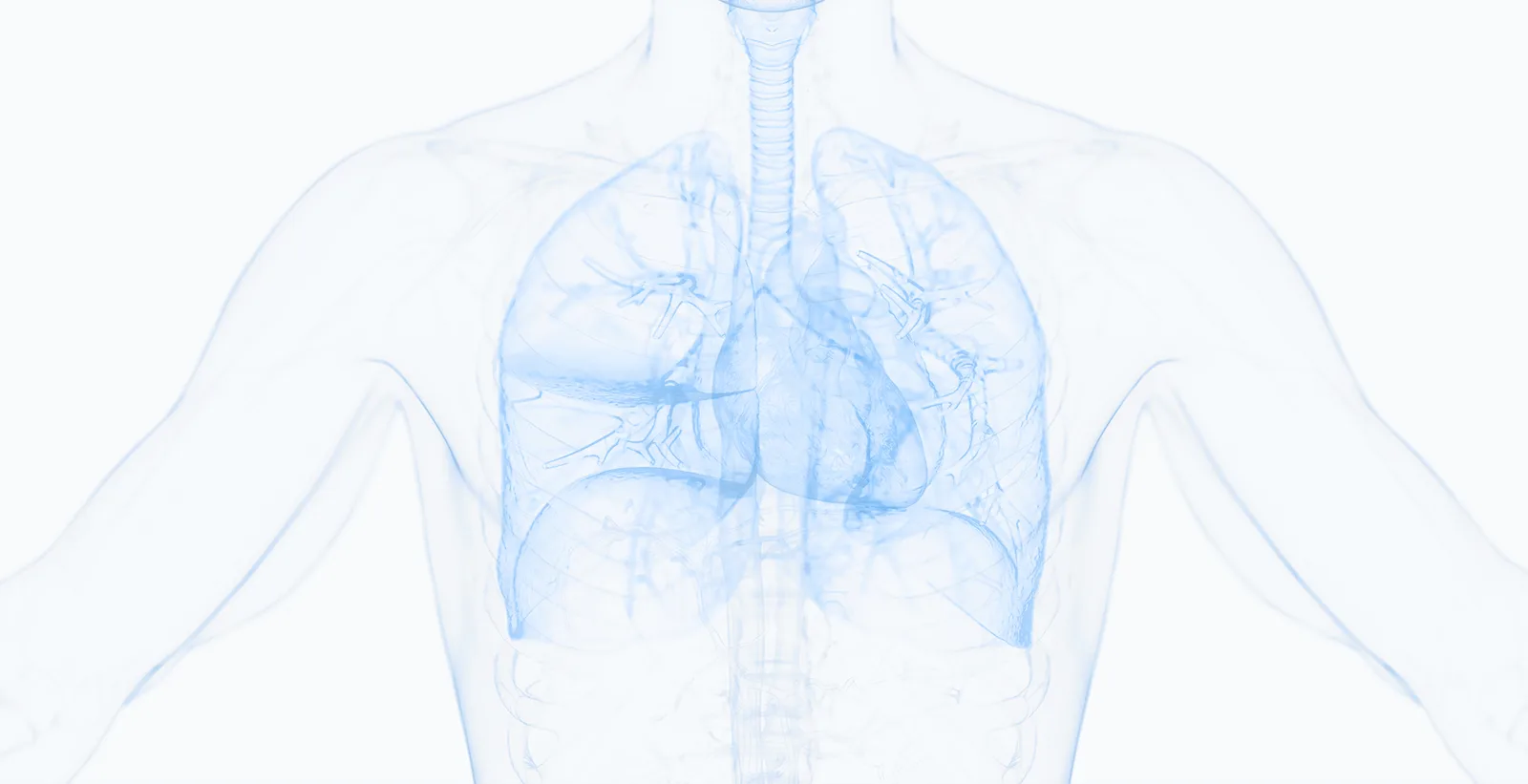 Metabolism under load